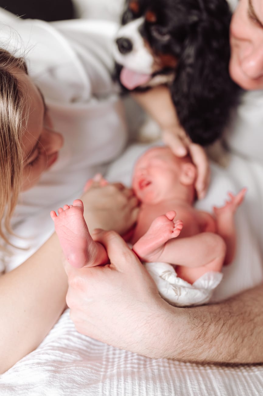 Mama z noworodkiem portret sesja w domu Gdynia