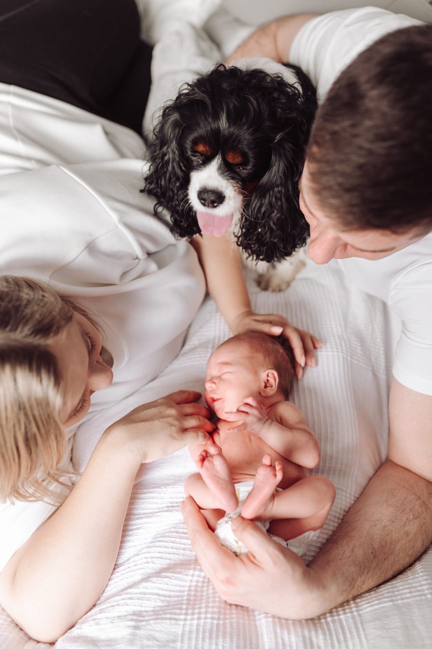 Rodzice z noworodkiem i psem na łóżku sesja w domu Gdynia