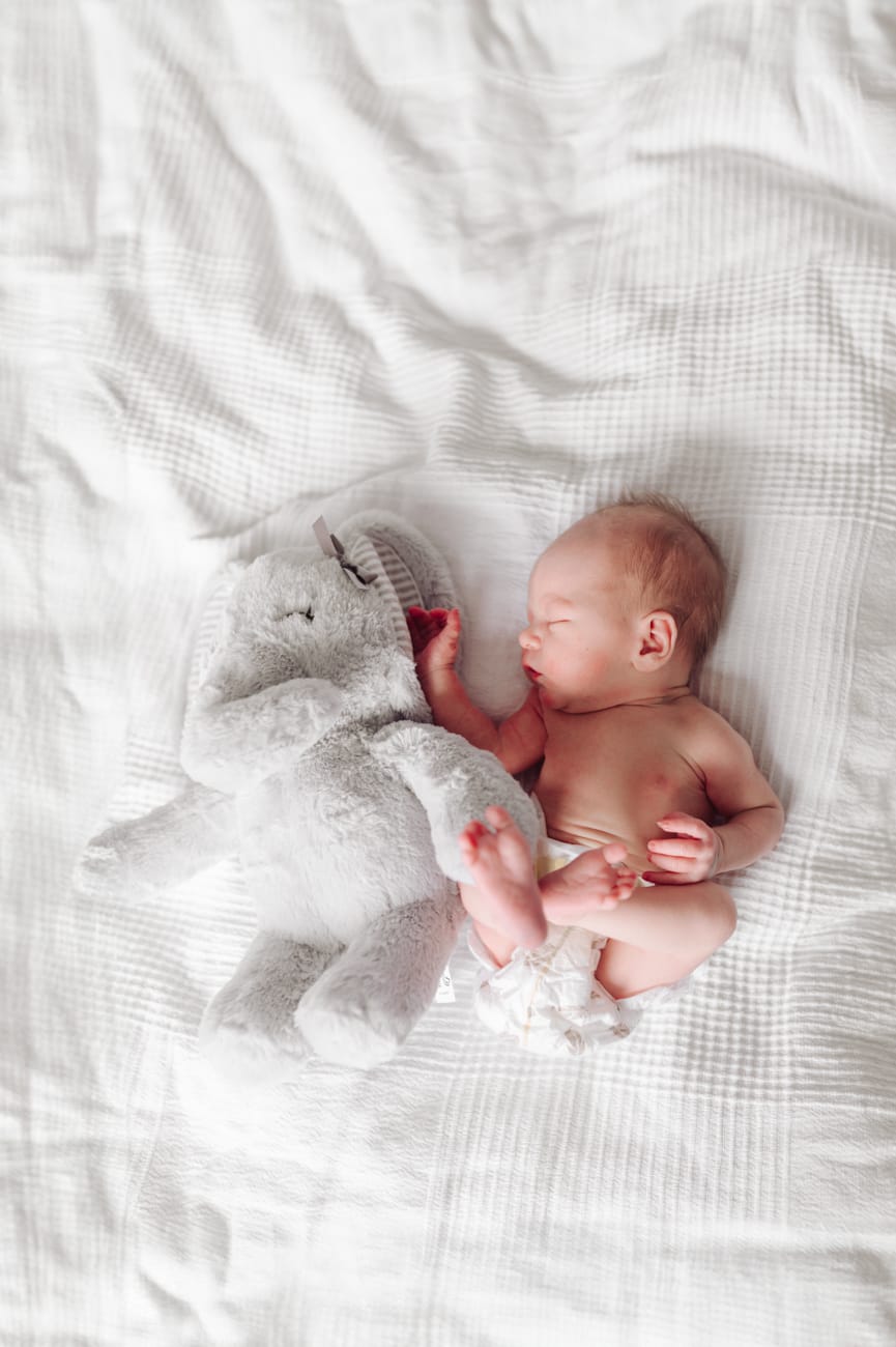 Śpiący noworodek ze słonikiem pluszowym sesja w domu
