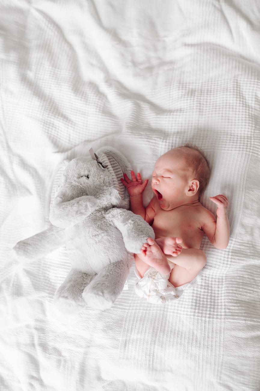 Ziewający noworodek ze słonikiem sesja noworodkowa Gdynia