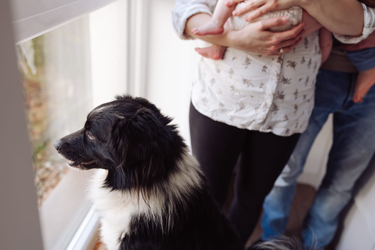 Rodzina sesja z noworodkiem w domu Gdynia