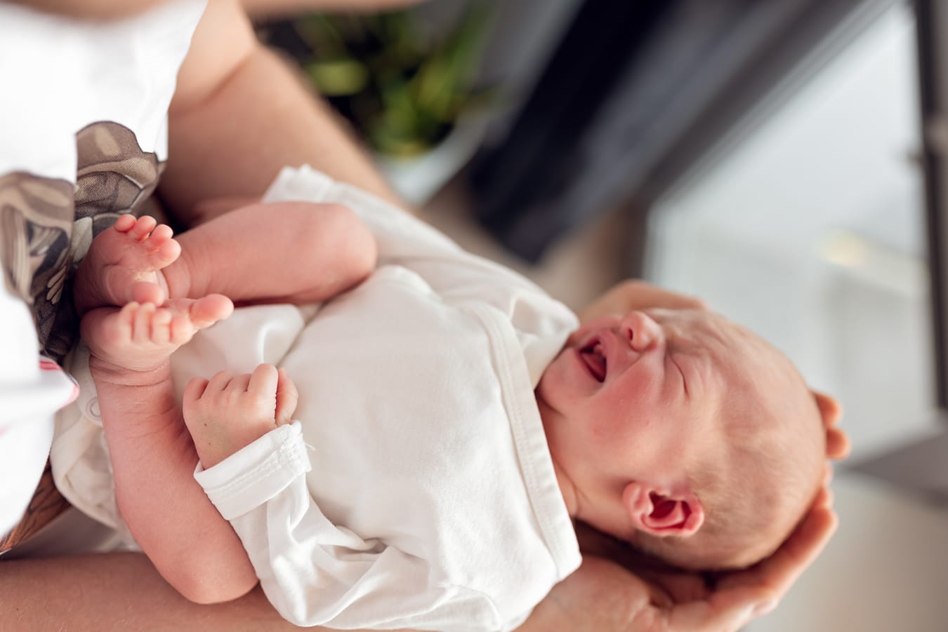 Noworodek sesja noworodkowa w domu Sopot