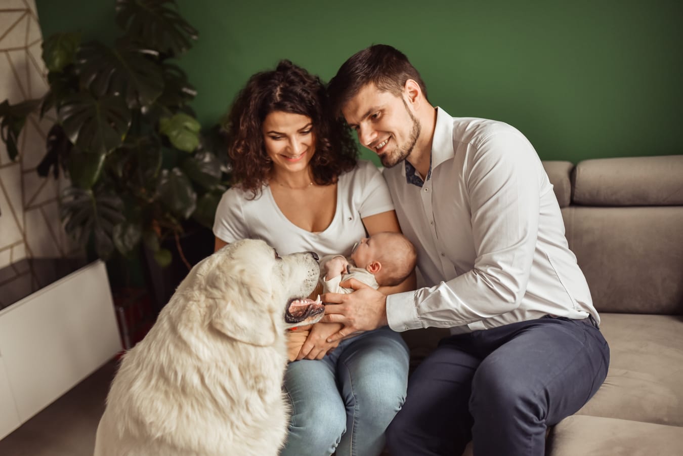 Rodzina z niemowlęciem i owczarkiem sesja w domu Gdynia