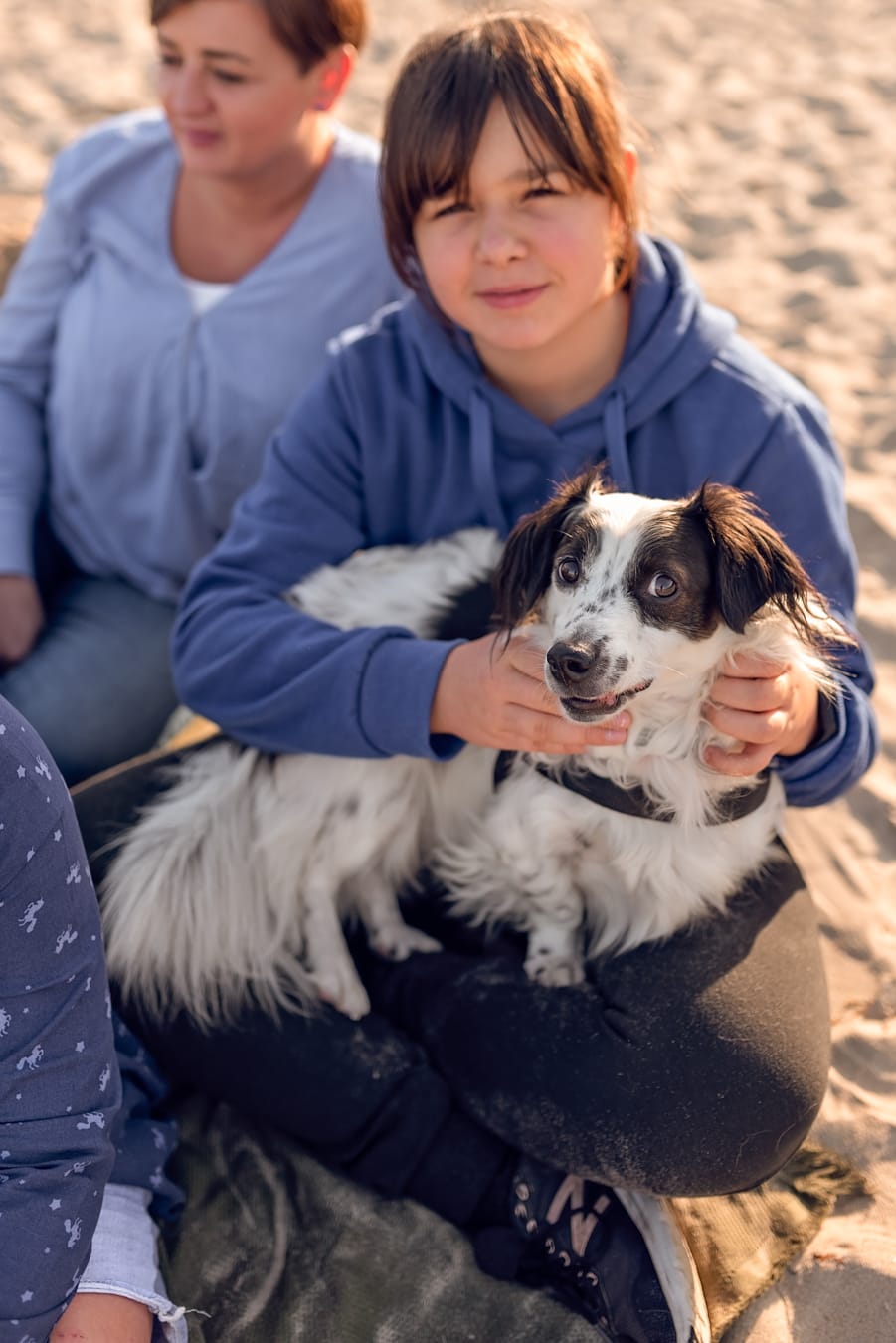 Pies na kolanach u nastolatki sesja rodzinna z psami