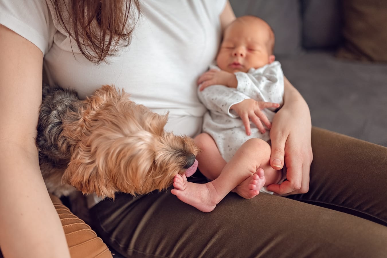 Pies obok noworodka sesja w pierwszych dniach życia