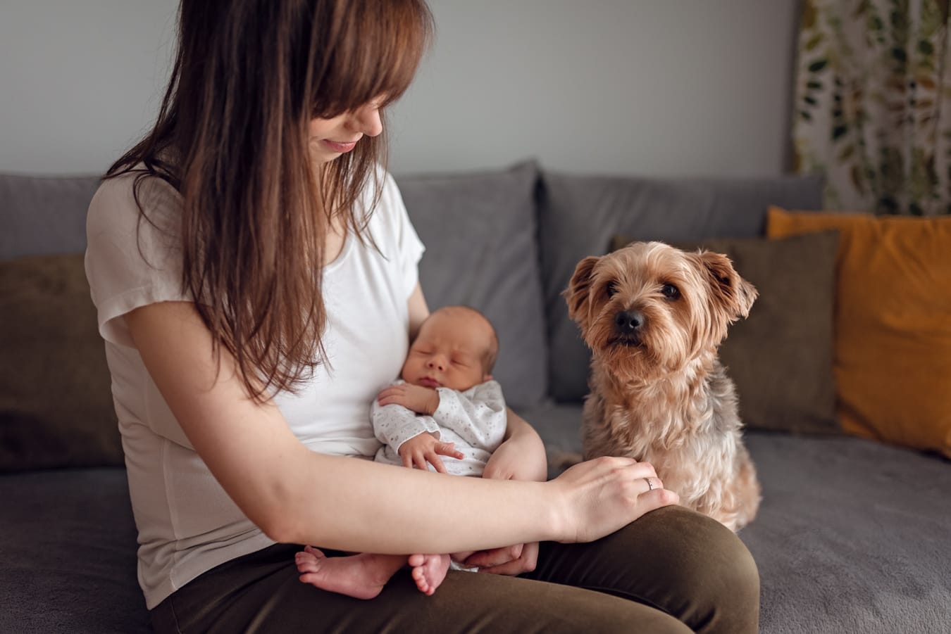 Noworodek z psem na kanapie sesja w domu Gdańsk