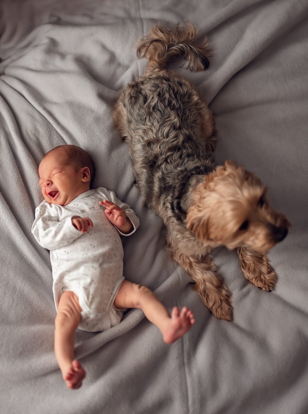 Noworodek i pies na łóżku sesja noworodkowa z psem Gdańsk