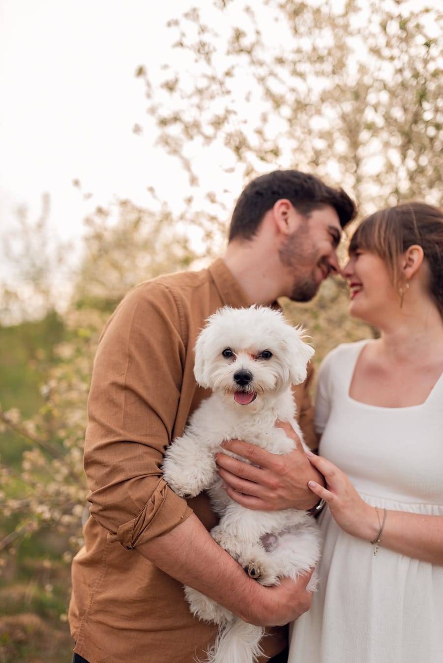 Para z psem na łące sesja ciążowa wiosną Gdynia