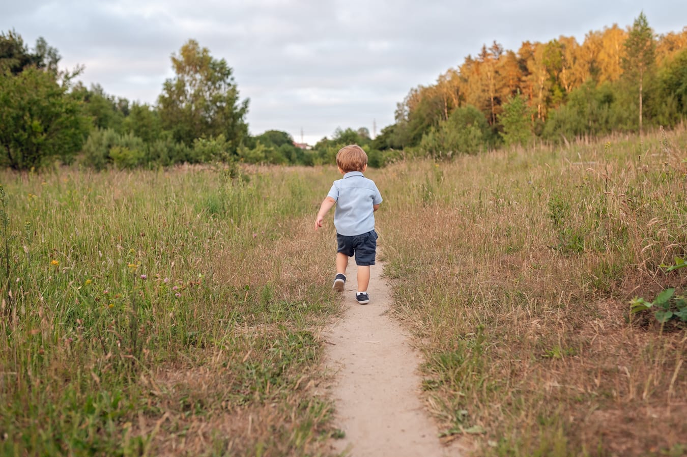 Maluch biegnie przez łąkę sesja rodzinna Gdynia