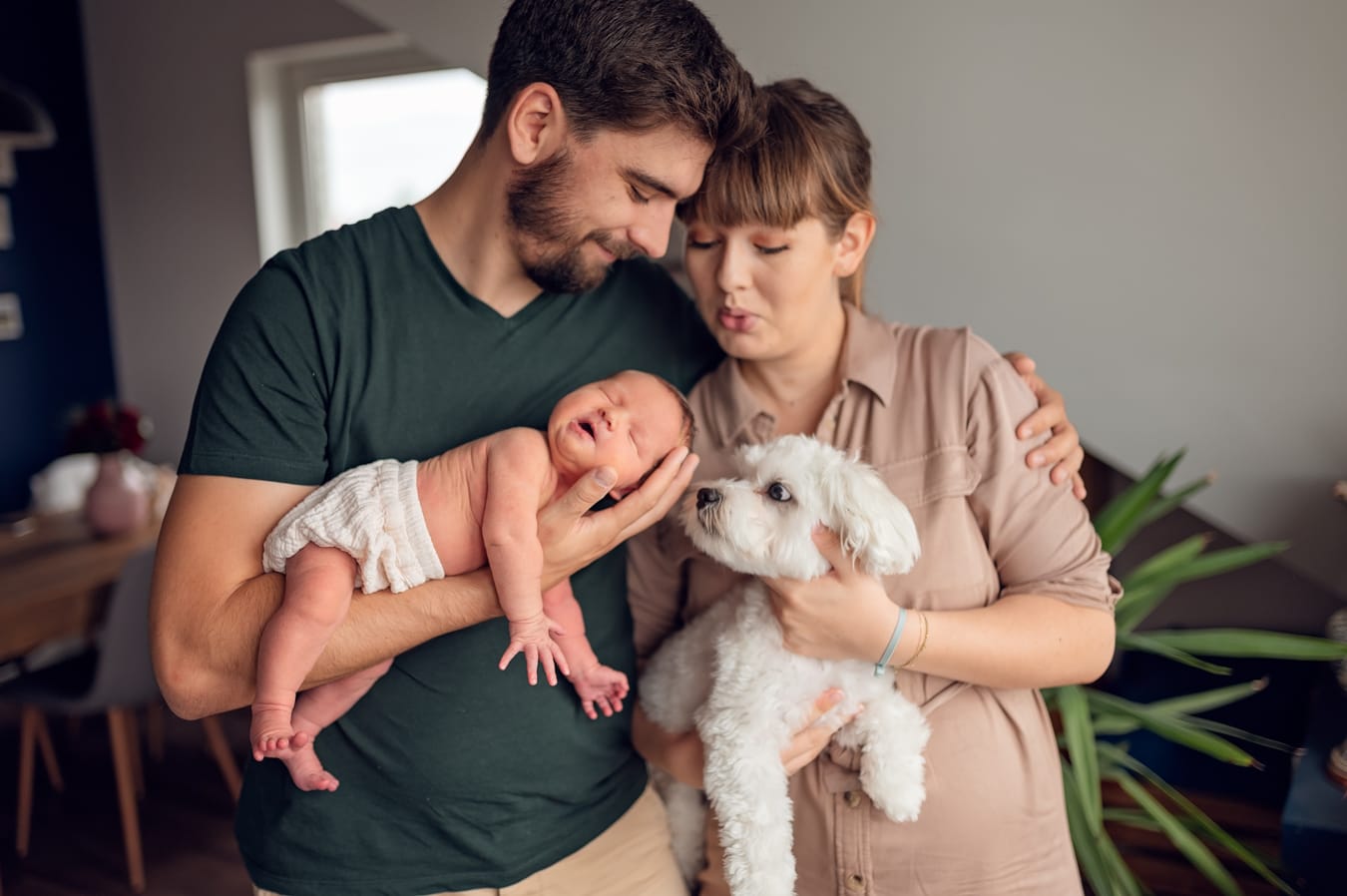 Pies wącha noworodka sesja noworodkowa z psem Gdańsk