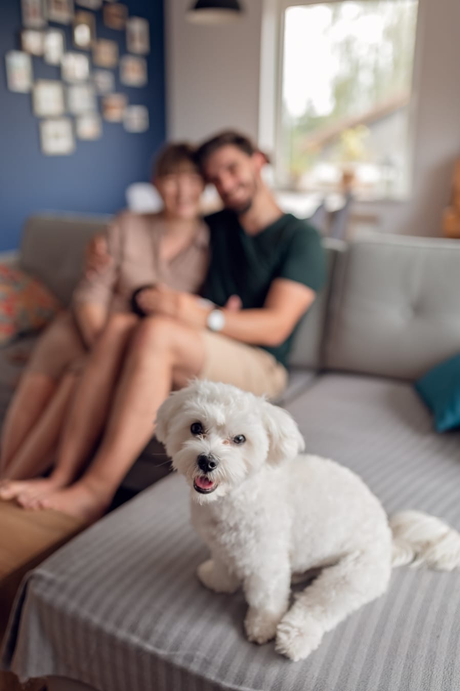 Zbliżenie psa, który radośnie wpatruje się w obiektyw a w tle jego szczesliwa rodzina. 