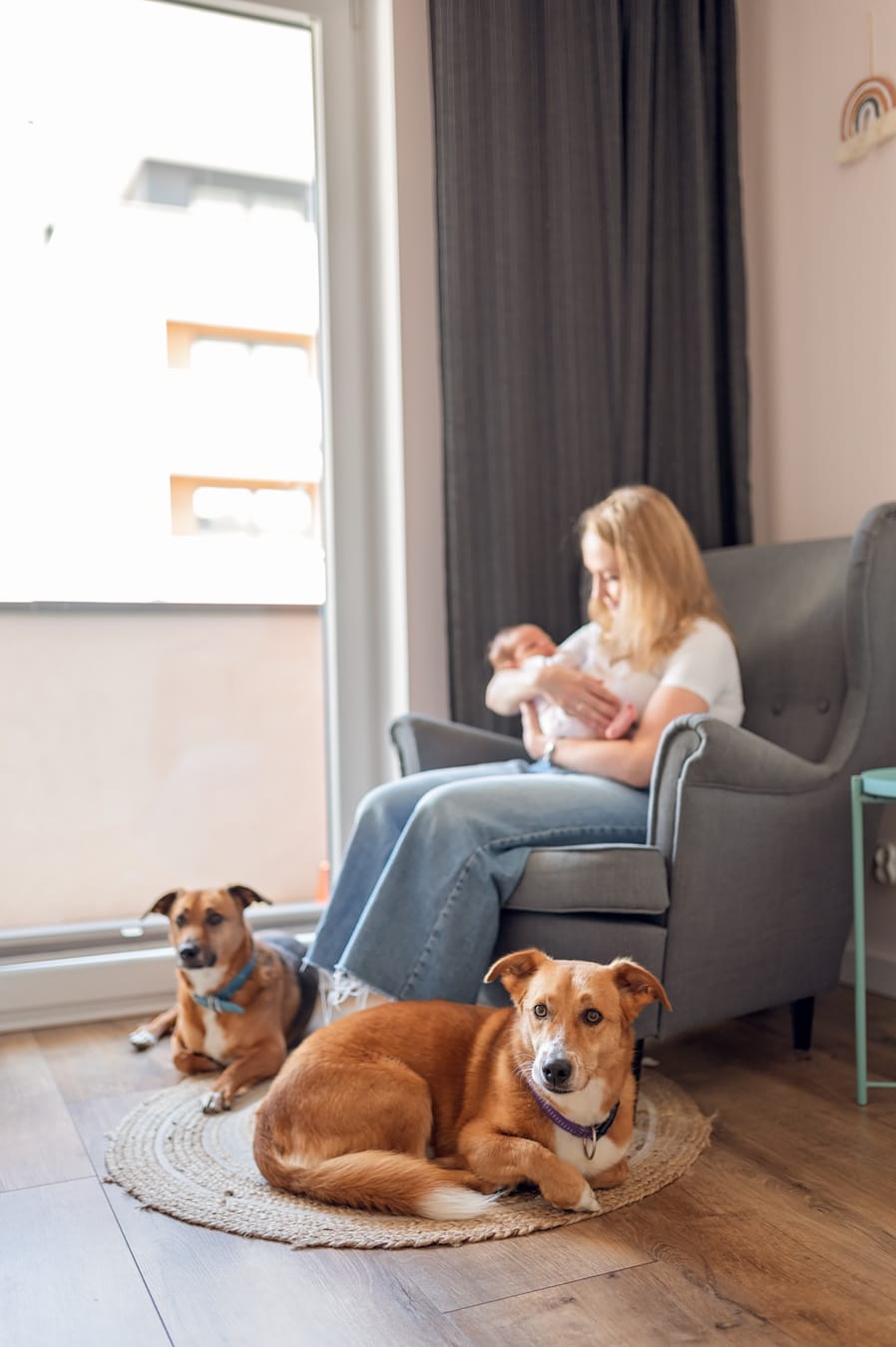 Psy przy mamie z noworodkiem sesja noworodkowa z psem Gdańsk