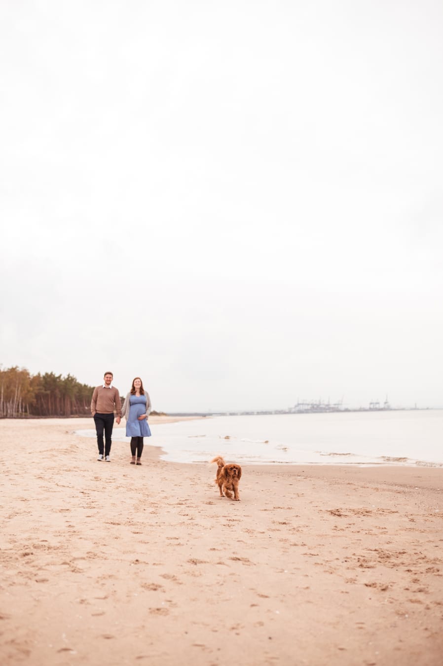 Para z Cavalierem na plaży sesja ciążowa z psem