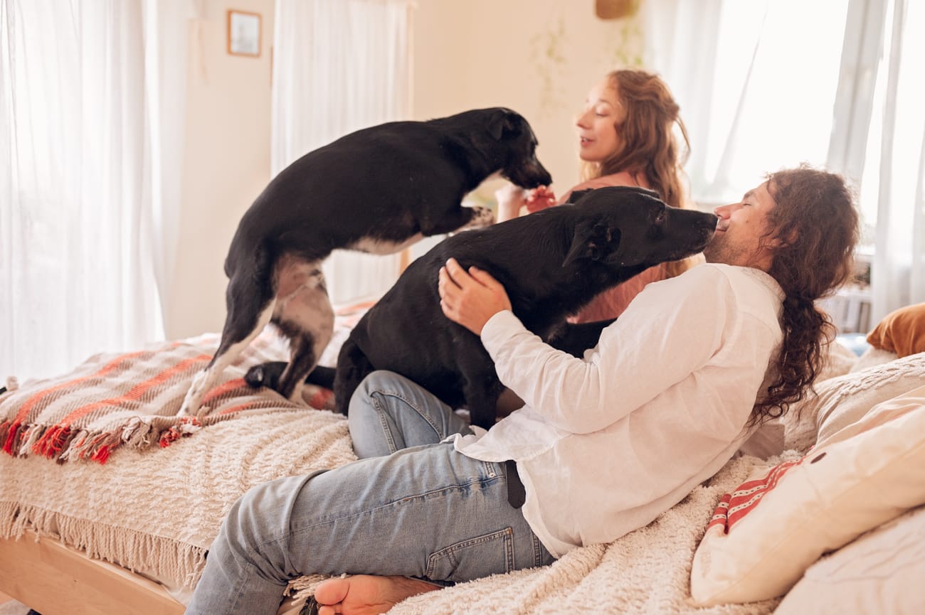 Dwa psy z parą sesja ciążowa w domu Gdańsk