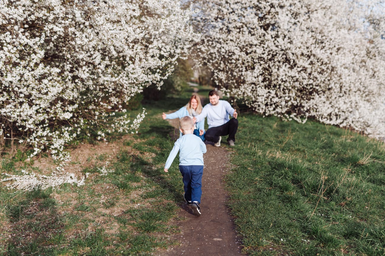 Chłopiec biegnie do rodziców kwitnące drzewa sesja wiosenna
