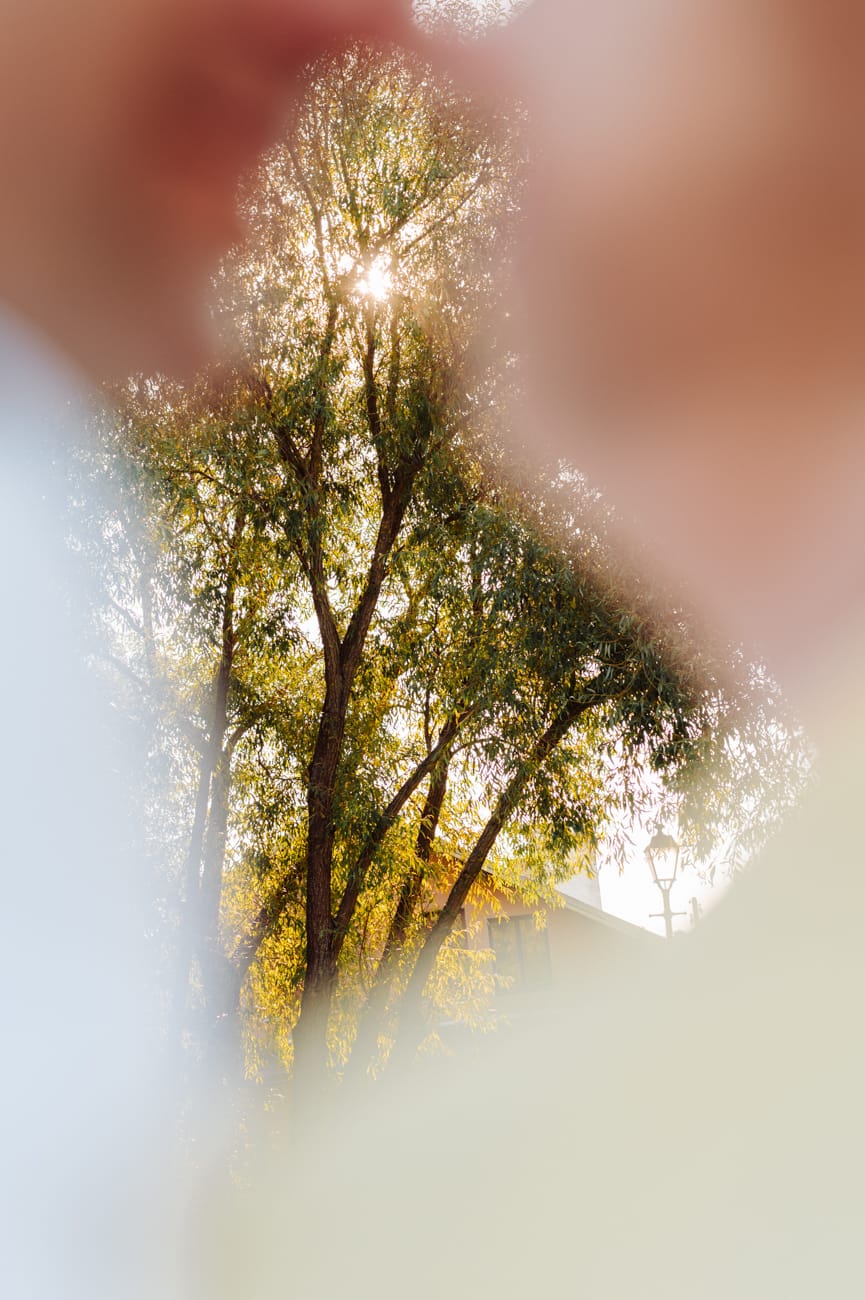 Zachód słońca między drzewami sesja dojrzałej pary Gdynia